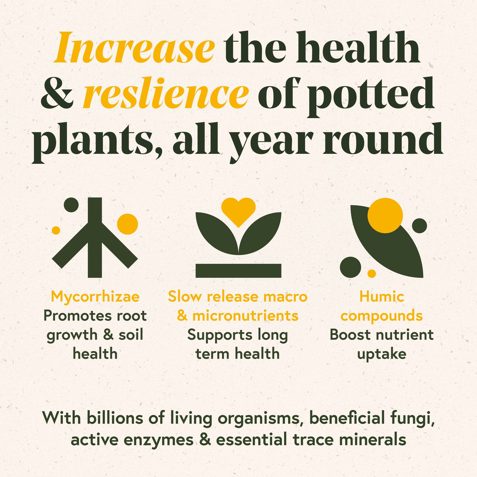 We The WIld™ 8.8oz. Enrich Powder Slow-Release Organic Soil Amendment & Plant Food for Houseplants